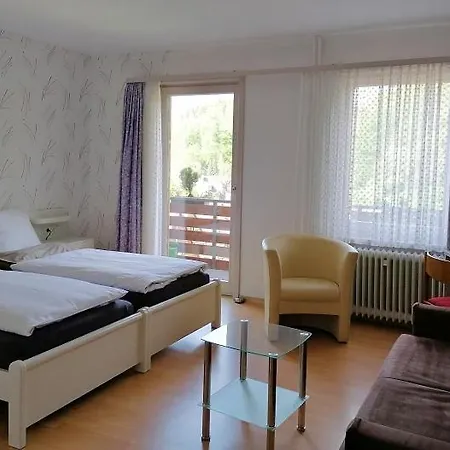 Maison d'hôtes Hotel-pension Waldhaus Bad Grund