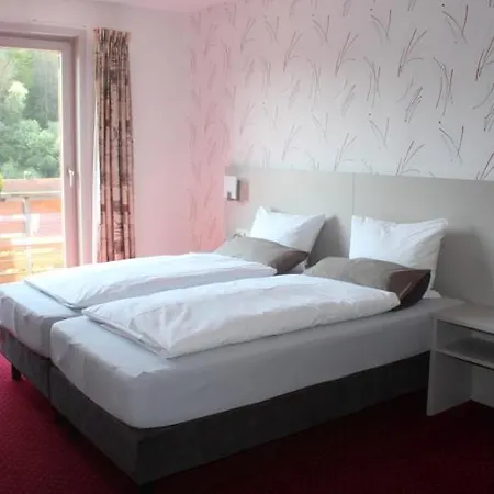 Hotel-pension Waldhaus Konukevi Bad Grund