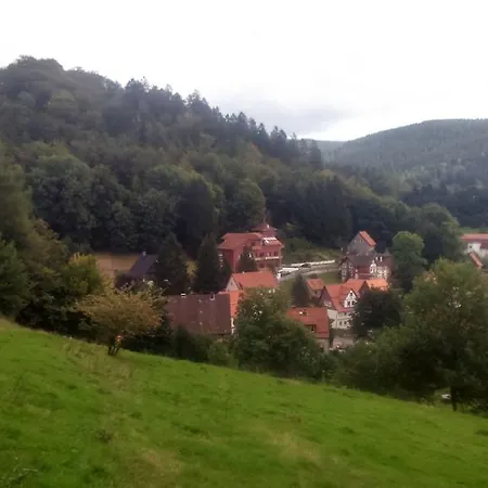 Gasthuis Hotel-pension Waldhaus 3*