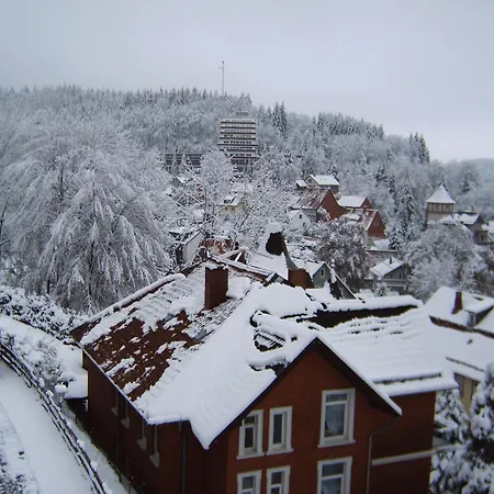 Hotel-pension Waldhaus